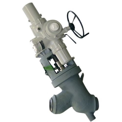 Globe valve